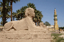 LUXOR TEMPLE 106    Price �69.95p   pp �10.00p (click to enlarge)